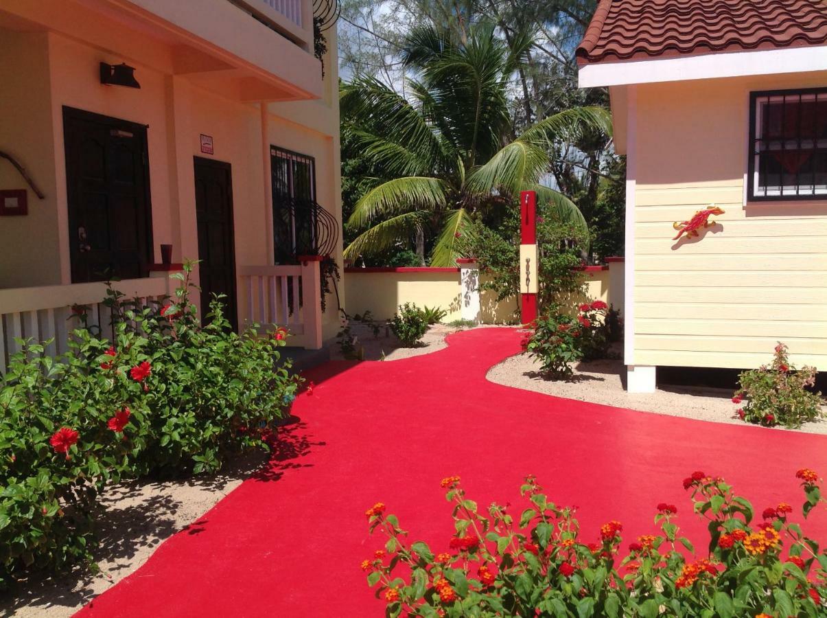 The White Horse Inn - Hopkins Village Beach Belize Eksteriør billede